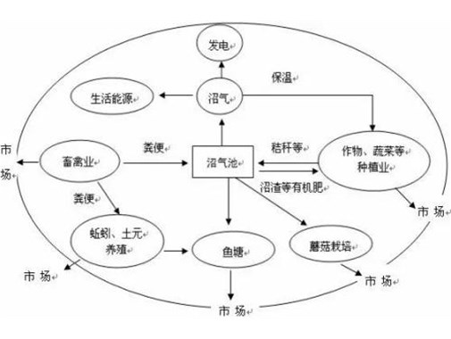 養殖污水處理方法都有哪些_金版環保